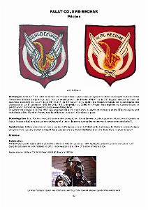 610 LES INSIGNES DE L ALAT EN AFN PAR CHRISTIAN MALCROS_000060